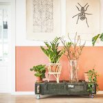 Boost Your Home's Air Quality Naturally