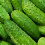 HORTALIZAS ECOLOGICAS