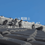 ハト #2