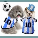 Camisetas para perros pequeños muy bonitas y atractivas