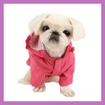Ropita para perritas pequeñas