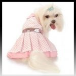 Disfruta de estos lindos vestiditos para perros