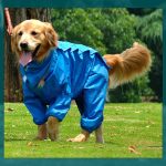 Impermeables para perros grandes y medianos