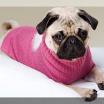 Ropa para cachorros encuentra tu modelo preferido