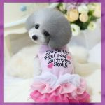 Blusas para perritas diseños lindos que te van a encantar