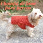Chompas de lana para perros