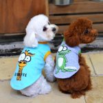 Donde comprar chalecos para perros pequeños