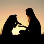 ¿Cómo encarar la muerte de tu perro?