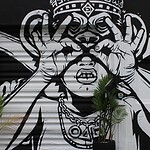 Wynwood Miami 3D tour