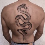 kígyó csörgőkígyó teljes hát tetoválás Budapest, snake rattlesnake full back tattoo Budapest