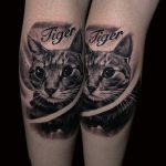 macska kiscica házikdevenc kisállat realisztikus tetoválás, cat kitten domestic pet realistic tattoo