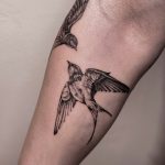 fecskepár fecske tetoválás, pair of swallows swallow tattoo