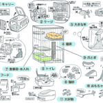 猫を初めて飼う方への準備リスト一覧のイラスト