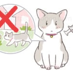 室内飼育の猫と予防ワクチン