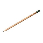 Svinčnik, ki raste - SEED PENCIL
