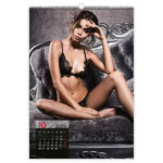 Slika: erotic_moments_12
