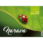 Narava (dvodelni)