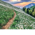 Slika: slovenija_5