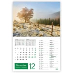 Slika: zeleni zakladi_14