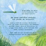lo que florece contraportada