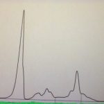 Leishmaniose-Hilfe