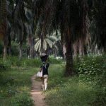 Huile de palme, camerounais contre Socfin, Magazine Pages Jaunes