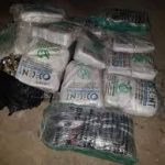 Des déplacés internes plus nombreux au Cameroun