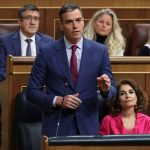 Les scénarios possibles pour l'Espagne après l'annonce de Sánchez 