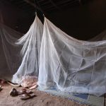 Un nouveau type de moustiquaire a "empêché" 13 millions de cas de paludisme en Afrique
