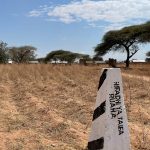 Le financement d'un projet touristique en Tanzanie suspendu
