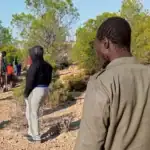 Soutien financier de l'UE : Abandon de migrants dans le désert 