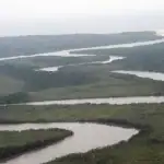 Bundu : Protéger la biodiversité des mangroves du Nigeria