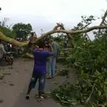 Les populations de Bomono