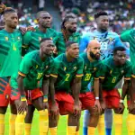 Les lions