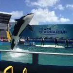 Seaquarium