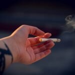 THE COMPLETE GUIDE TO VISTING OR CAMPING IN ILLINOIS STATE PARKS 4_2021 smoking IL state park