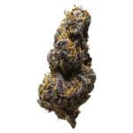 black cheese 7g indica 3rd coast genetics
