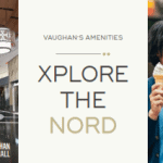 11960813-0-2017-01-11-18