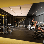 Thirty Six Zorra – Gym