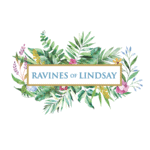 Ravines of Lindsay