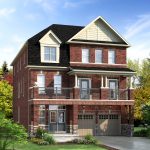 The Neighbourhoods of Mount Pleasant