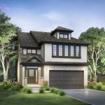 ElderberryA_rendering (1) ElderberryA_rendering (1)