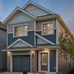 Aster - Detached Aster – Detached