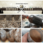 Бобровая струя настойка, капсулы, порошок ,вяленая
