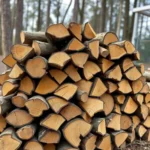 měkké dřevo – palivové dřevo, Ostrava