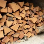 tvrdé dřevo – palivové dřevo, Ostrava