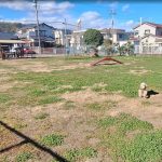 わんこじかん|犬と歩く静岡時間：【静岡市葵区】安東ドッグランで愛犬と過ごす、のんびり休日レポート　芝生と交流を楽しむ癒し時間