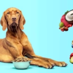What's Really Inside Your Pet's Food? Experts Reveal Hidden Risks Every Pet Parent Should Know