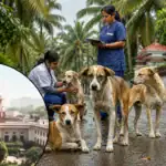 Kerala's New Stray Dog Policy: Is Humane Euthanasia the Right Step?