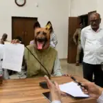 Man in Dog Costume Storms Khandwa Grievance Hearing Over ₹40 Lakh Sterilisation Scam Claim
